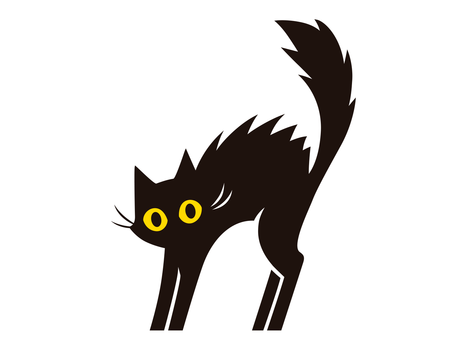 Scared Cat by Mariana Sá on Dribbble