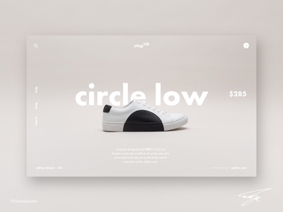 Shoe Store Website Design designs 