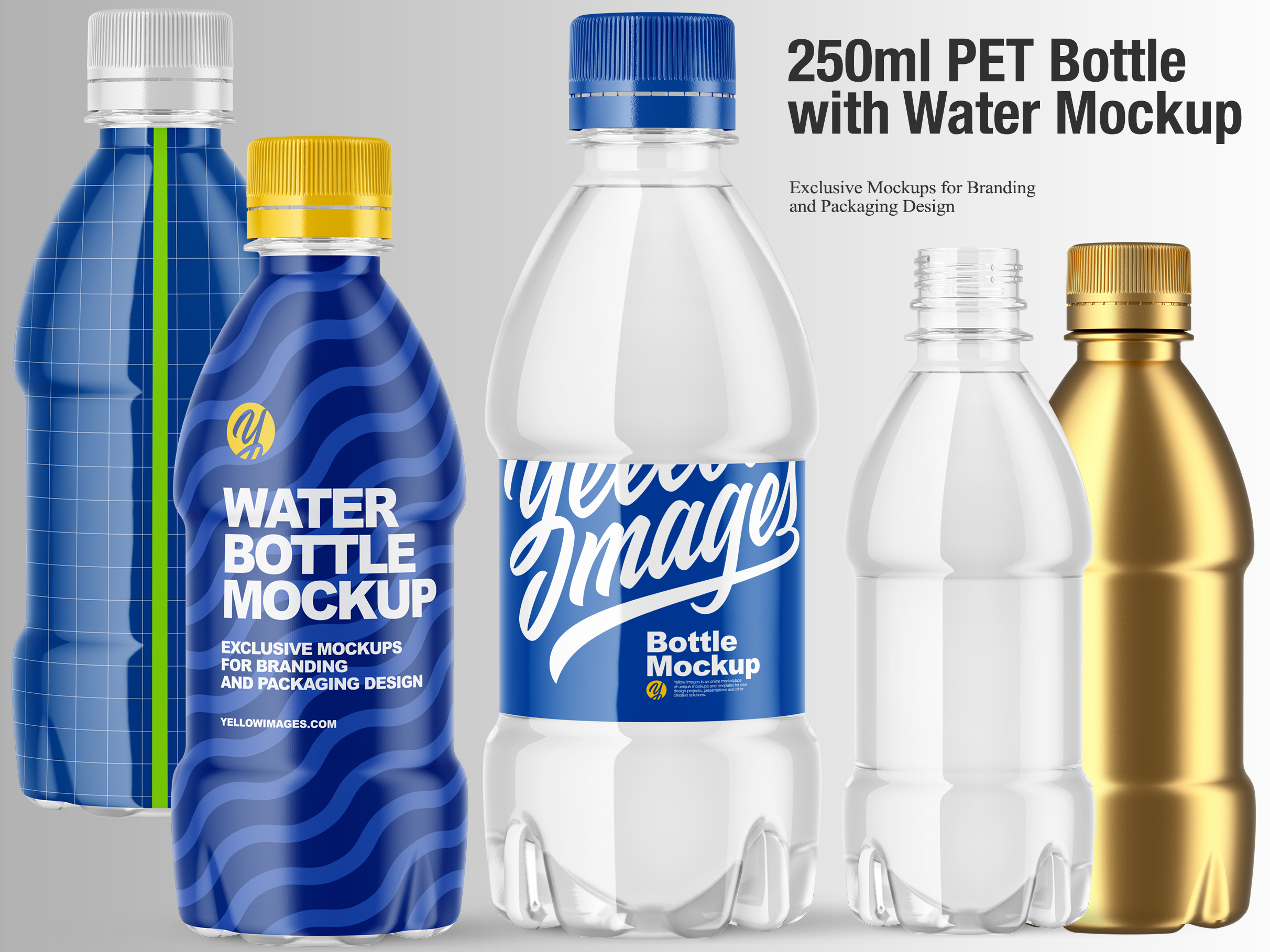 250ml Pet Water Bottle Mockup By Oleksandr Hlubokyi On Dribbble