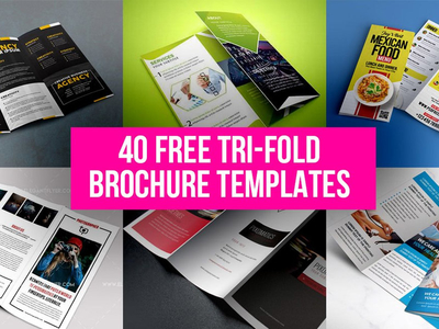 Free Downloadable Tri Fold Brochure Template from static.dribbble.com